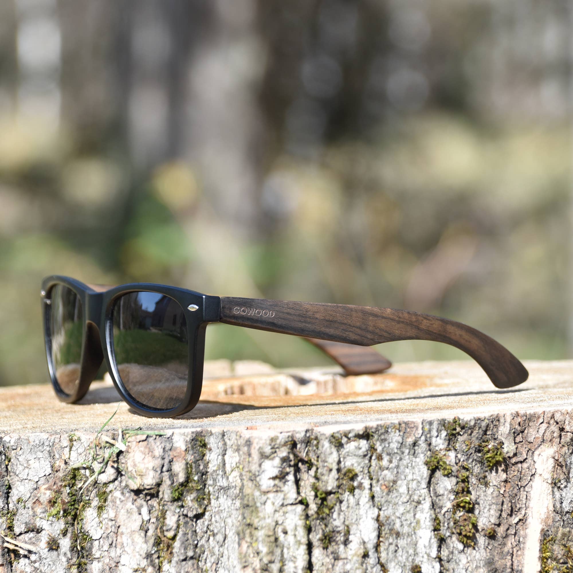 Ebony Wood Sunglasses Inside a Zipper Case