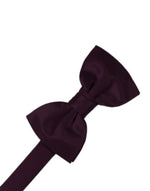 Load image into Gallery viewer, Kid&#39;s Luxury Satin Pre-Tied Bow Tie Collection
