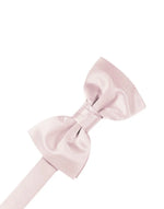 Load image into Gallery viewer, Kid&#39;s Luxury Satin Pre-Tied Bow Tie Collection
