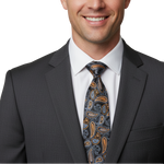 Load image into Gallery viewer, Paisley Silk Tie
