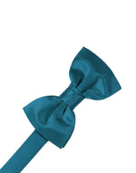 Load image into Gallery viewer, Kid&#39;s Luxury Satin Pre-Tied Bow Tie Collection
