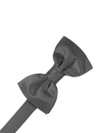 Load image into Gallery viewer, Kid&#39;s Luxury Satin Pre-Tied Bow Tie Collection
