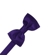 Load image into Gallery viewer, Kid&#39;s Luxury Satin Pre-Tied Bow Tie Collection
