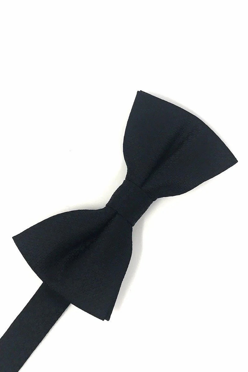 Regal Bow Tie & Pocket Square Set