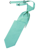 Charger l&#39;image dans la galerie, Kids Luxurious Satin  Pre-Tied Necktie
