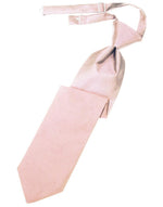 Load image into Gallery viewer, Kids Luxurious Satin  Pre-Tied Necktie
