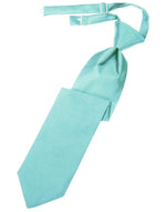 Load image into Gallery viewer, Kids Luxurious Satin  Pre-Tied Necktie
