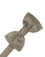 Load image into Gallery viewer, Kid&#39;s Luxury Satin Pre-Tied Bow Tie Collection
