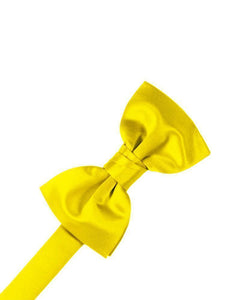 Kid's Luxury Satin Pre-Tied Bow Tie Collection