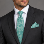 Load image into Gallery viewer, Luxurious Paisley Necktie Collection
