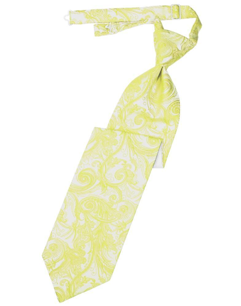 Tapestry Pre-Tied Necktie Collection