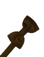 Load image into Gallery viewer, Kid&#39;s Luxury Satin Pre-Tied Bow Tie Collection
