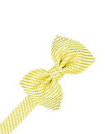 Load image into Gallery viewer, Venetian Bow Tie Collection
