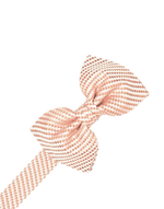 Load image into Gallery viewer, Venetian Bow Tie Collection
