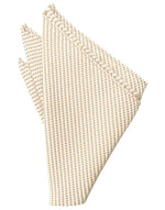 Load image into Gallery viewer, Venetian Pocket Square Collection

