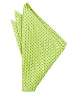 Load image into Gallery viewer, Venetian Pocket Square Collection
