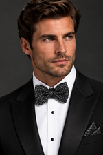 Load image into Gallery viewer, A black pre-tied bow tie with a woven geometric pattern of small metallic silver dots.
