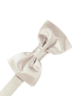Load image into Gallery viewer, Luxury Satin Pre-Tied Bow Tie Collection
