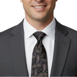 Load image into Gallery viewer, Paisley Silk Tie
