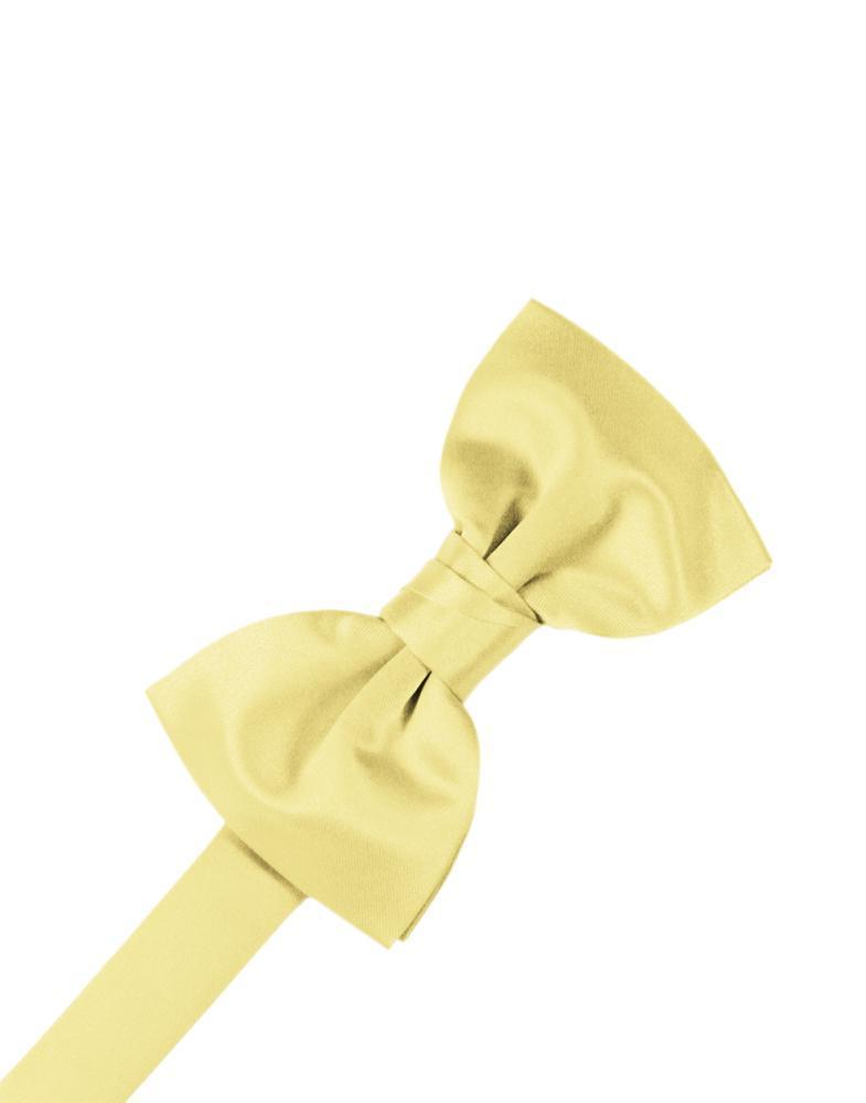 Luxury Satin Pre-Tied Bow Tie Collection