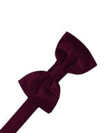 Load image into Gallery viewer, Luxury Satin Pre-Tied Bow Tie Collection
