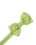 Load image into Gallery viewer, Venetian Bow Tie Collection
