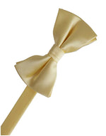 Charger l&#39;image dans la galerie, Eternity Bow Tie &amp; Pocket Square Collection
