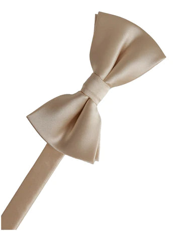 Eternity Bow Tie & Pocket Square Collection