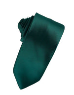 Load image into Gallery viewer, Eternity Necktie &amp; Pocket Square Collection
