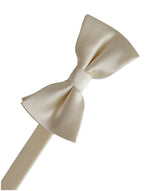 Charger l&#39;image dans la galerie, Eternity Bow Tie &amp; Pocket Square Collection
